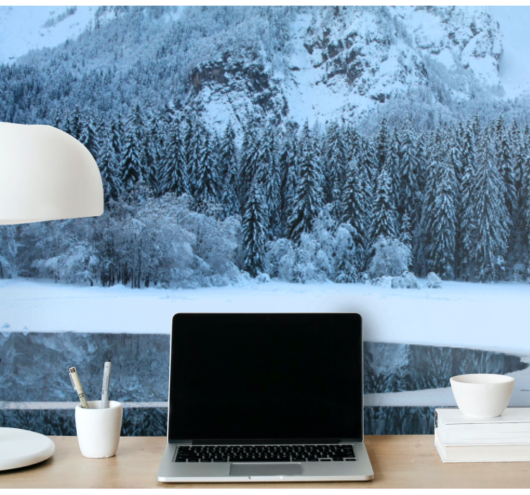 Landskab fototapet rolig vinterlandskab - TenStickers