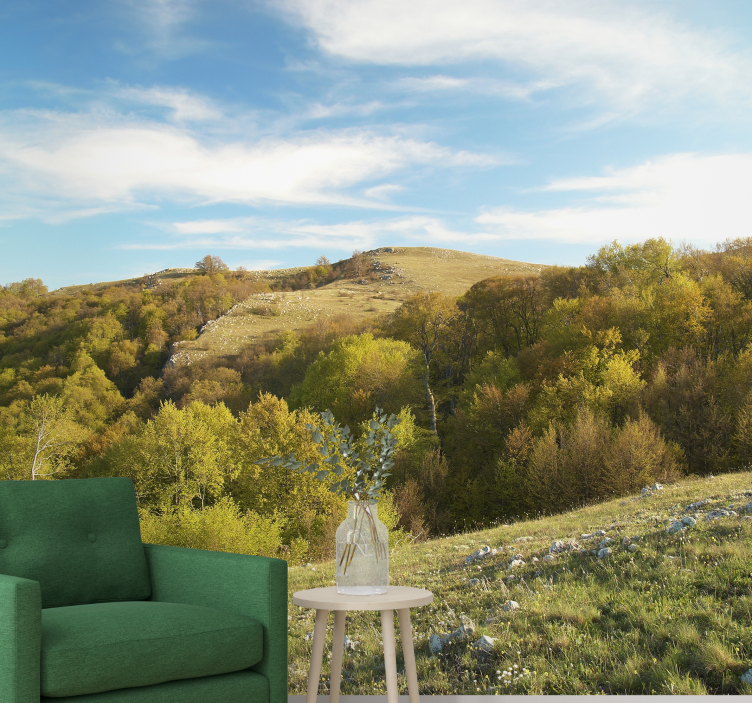 Landskab natur fototapet - TenStickers