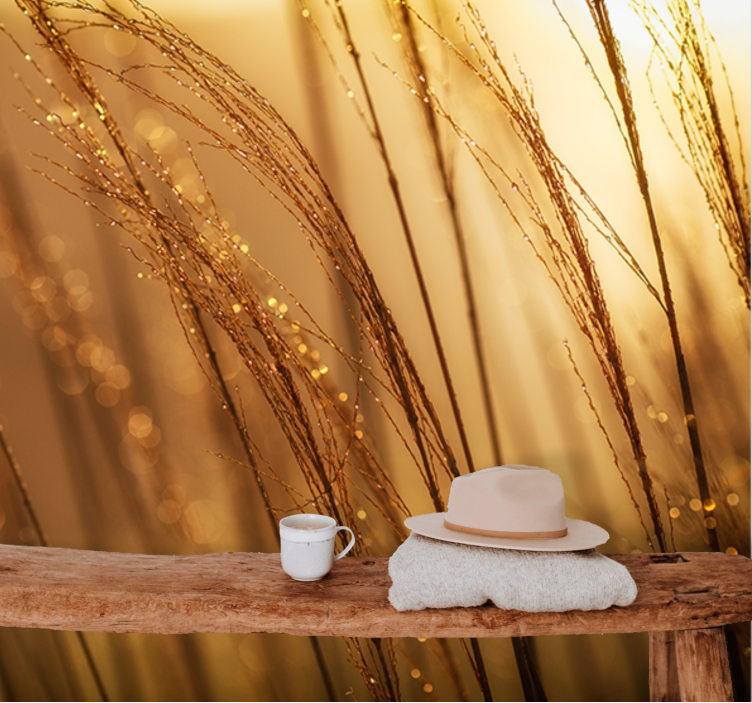 Natur fototapet blid gylden græs - TenStickers