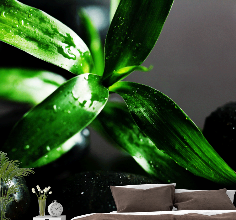 Natur fototapet friske blad tekstur - TenStickers