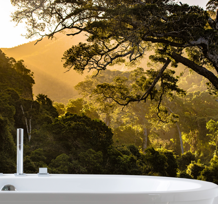 Natur fototapet frodig skovlandskab - TenStickers