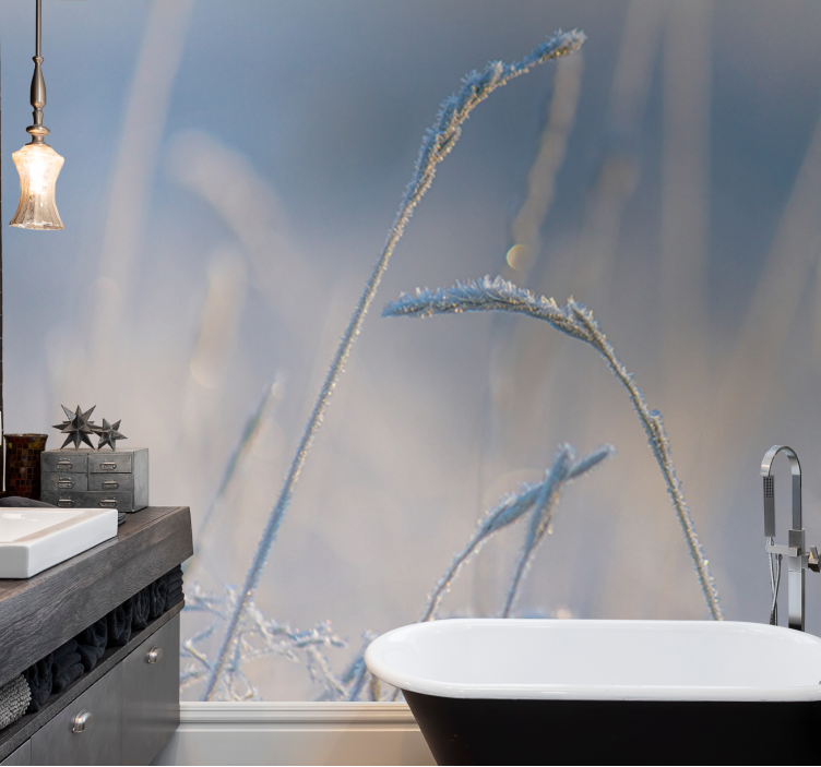 Natur fototapet frostede græsstrå - TenStickers