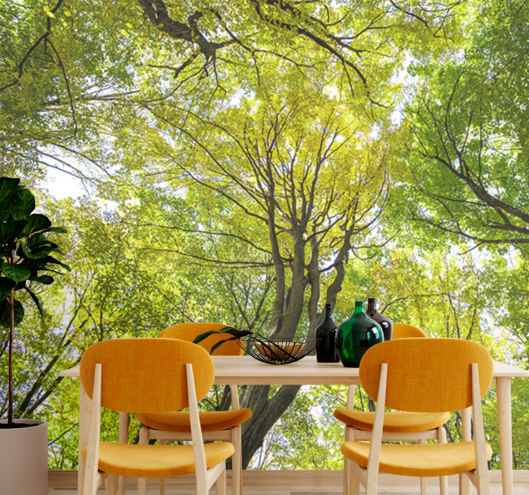 Natur fototapet lush forest canopy - TenStickers