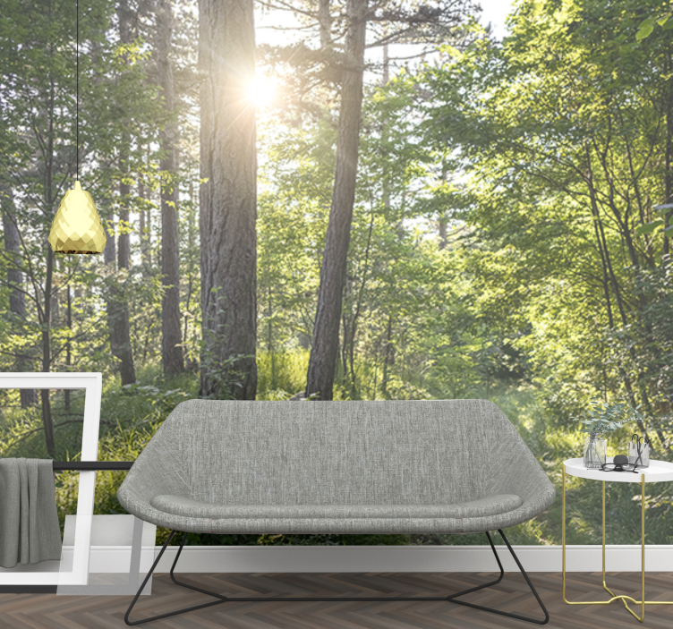 Natur fototapet lysende skovsti - TenStickers