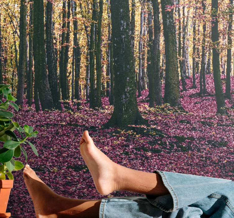 Natur fototapet rolig skovscene - TenStickers