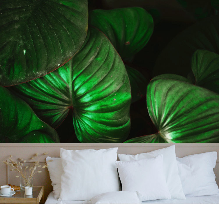 Natur fototapet sprudlende grønne blade - TenStickers