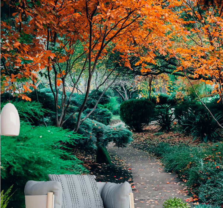 Natur fototapet sti blandt træer - TenStickers