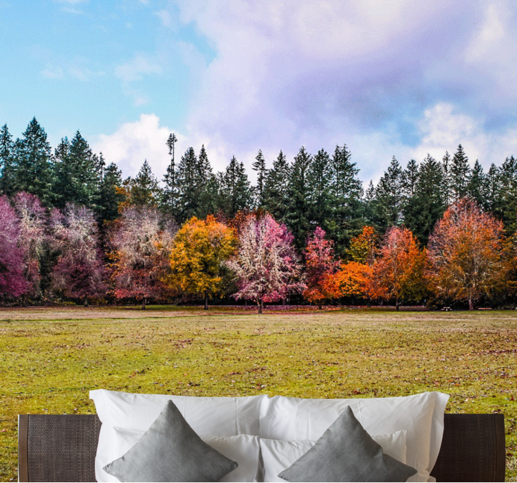 Natur udendørs park ægteskab fototapeter - TenStickers