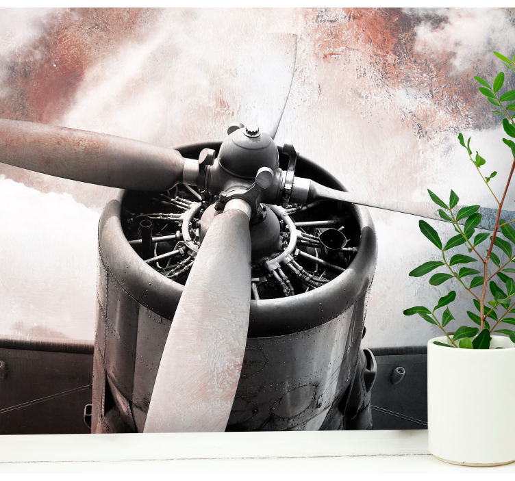 Propel af vintagefly fototapet køretøj - TenStickers