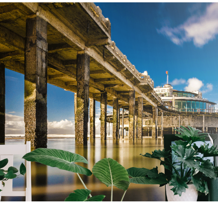 Roen ved kysten af molen landskab fototapet - TenStickers