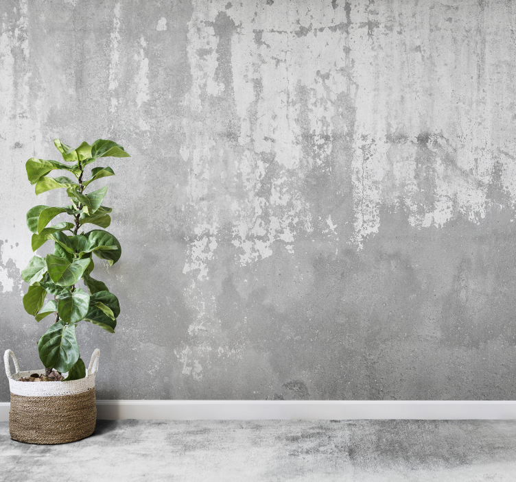 Ru beton sten fototapet - TenStickers