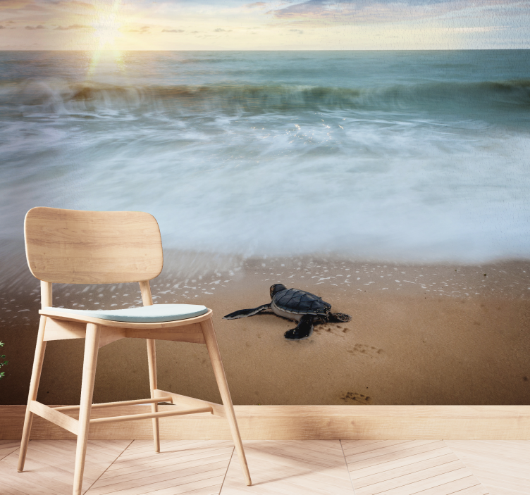Skildpadde på kysten dyr fototapet - TenStickers