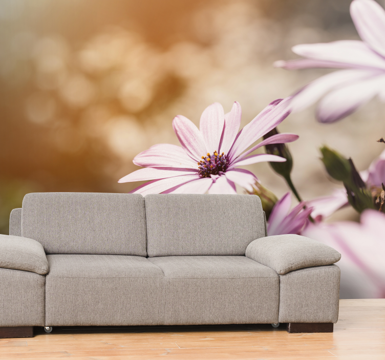 Smukke tusindfryd lyserøde fototapet - TenStickers