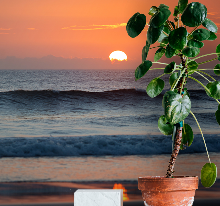 Solnedgang havhorisont fototapet hav - TenStickers