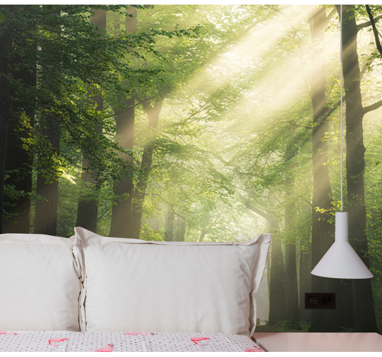 Træ med sol flash natur fototapet - TenStickers