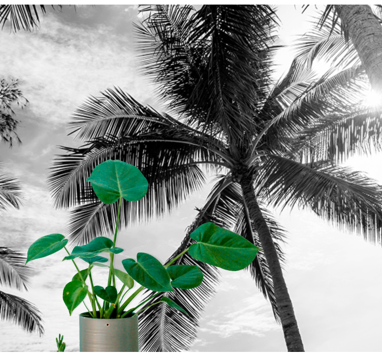 Tropisk palmescene fototapet hav - TenStickers