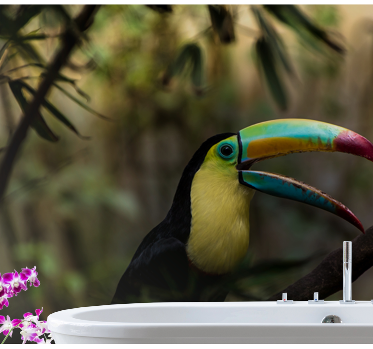 Tucan i jungle fototapet - TenStickers