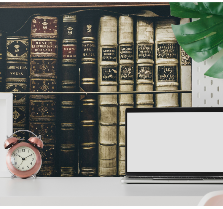 Vintage bogreol fototapet - TenStickers