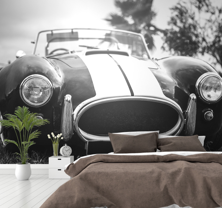 Vintage racerbil fototapet - TenStickers