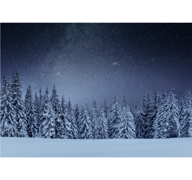 Hvide træer blå himmel træ fototapet - TenStickers