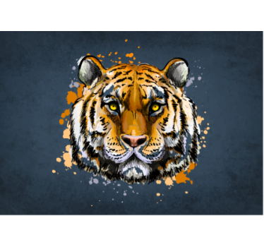 Tiger ansigt i blå baggrund fototapet tapet - TenStickers