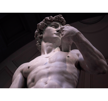 Michelangelos david fototapeter - TenStickers
