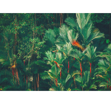 Jungle morgen skov fototapet tapet - TenStickers