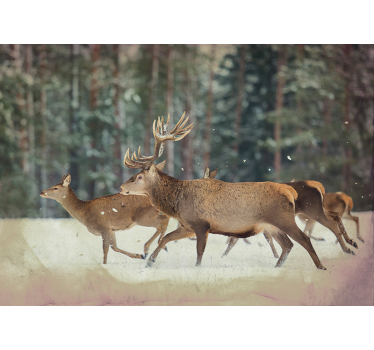 Hjorte i skovfototapet tapet - TenStickers