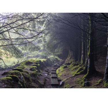 Mørk skov irland skov vægmaleri tapet - TenStickers