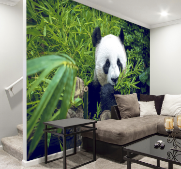 Bambus fototapet panda i en skygge - TenStickers