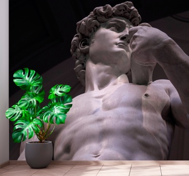 Michelangelos david fototapeter - TenStickers