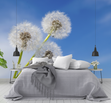 Tre mælkebøtte blomster fototapet - TenStickers