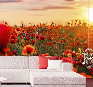 Valmue felt ved solnedgang fototapet tapet - TenStickers
