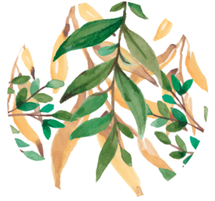 Øl coaster bladgrøn botanisk - TenStickers