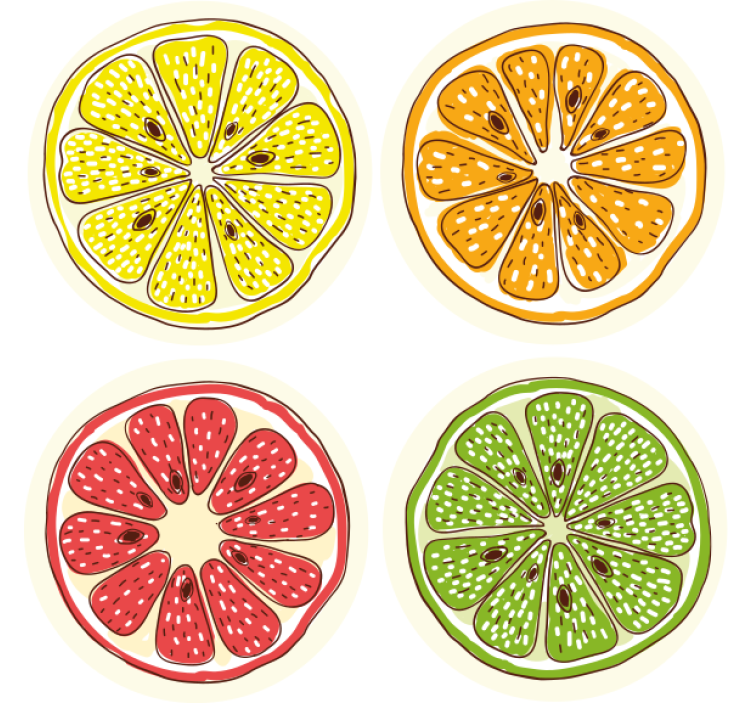 Citrus skive motiver skør coaster - TenStickers