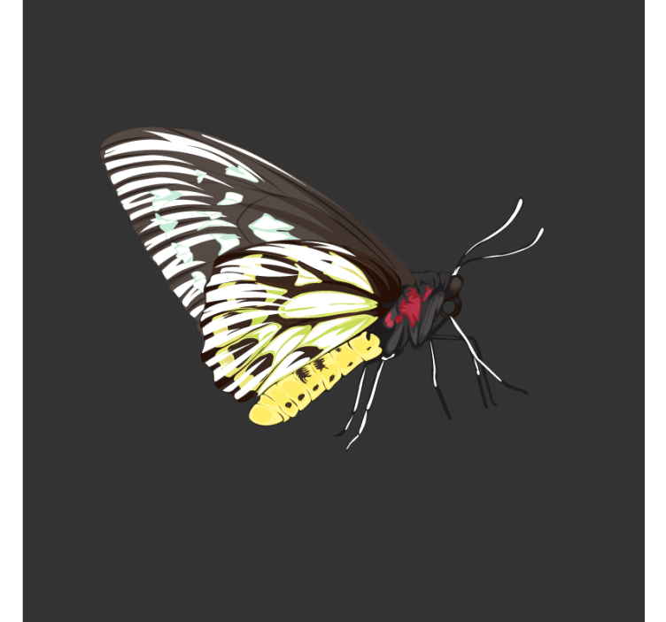 Realistisk detaljeret gul sommerfuglcoaster - TenStickers