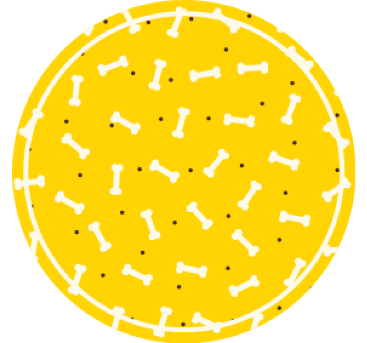 Skør coaster med knoglemønster rund - TenStickers