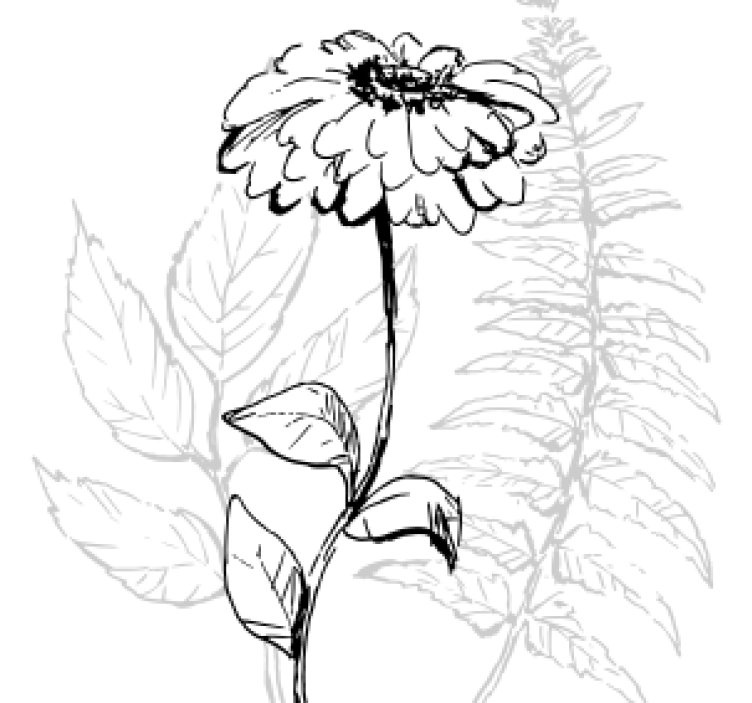 Coaster botanisk linjekunst - TenStickers