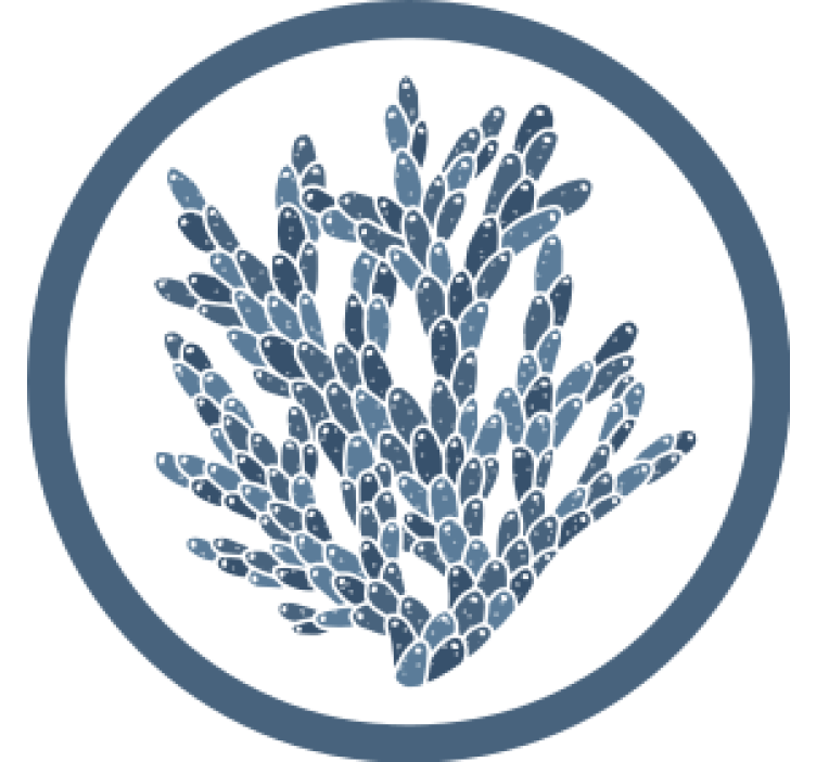 Coaster med abstrakt koral mønster - TenStickers