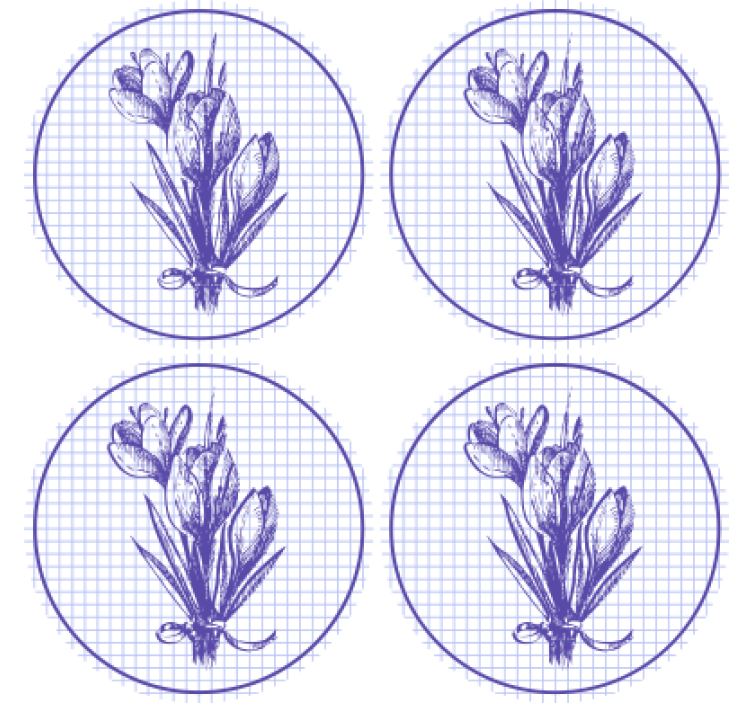 Coaster med yndefuld botanisk illustration - TenStickers