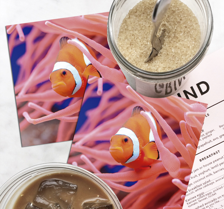 Smuk klovnfisk i havfiskebanen - TenStickers