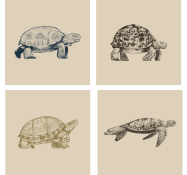Skildpadde tegninger beige baggrund coaster sæt - TenStickers
