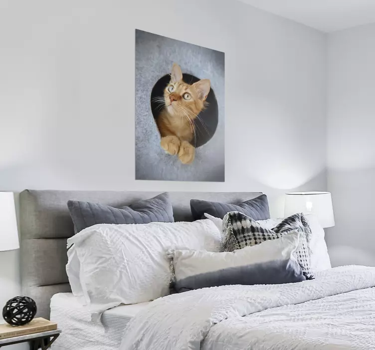 Orange kat i grå hule plakat - TenStickers