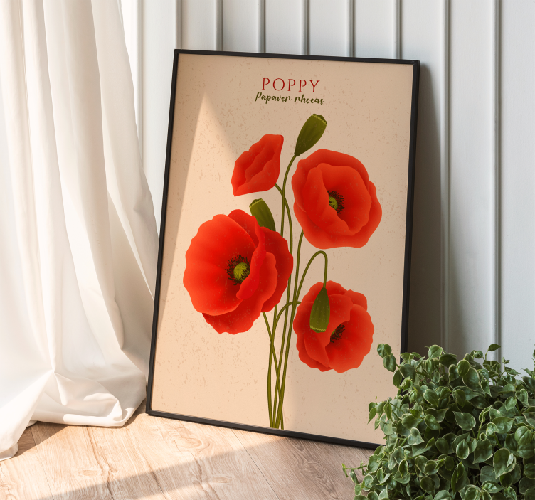 Valmuer plakater med blomster - TenStickers