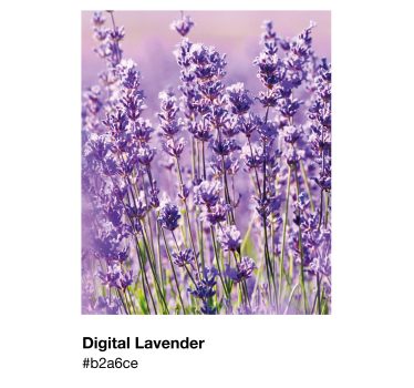 Pantone digital lavendel plakat - TenStickers
