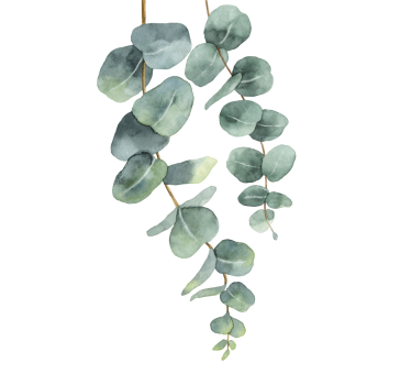 Eucalyptus Kviste Plakat med træer - TenStickers
