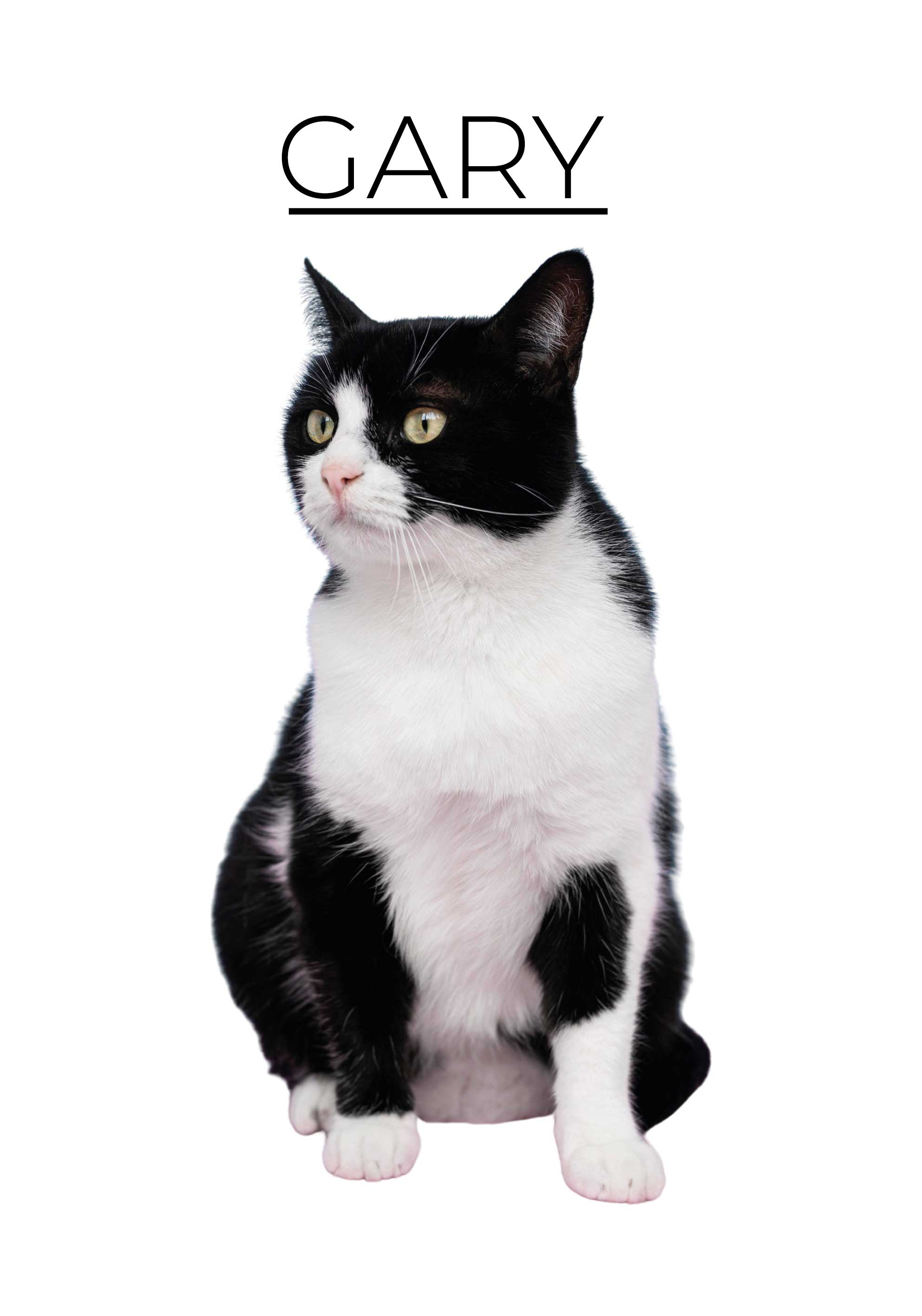 Personlig minimalistisk dlakat med dyr - TenStickers