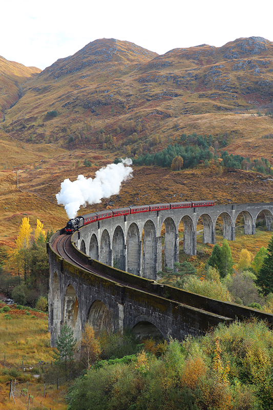 Tog i bevægelse realistisk fotoplakat - TenStickers