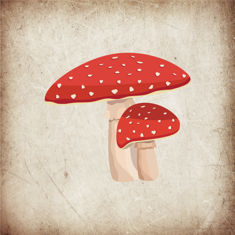Køkken plakat amanita svampe illustration - TenStickers
