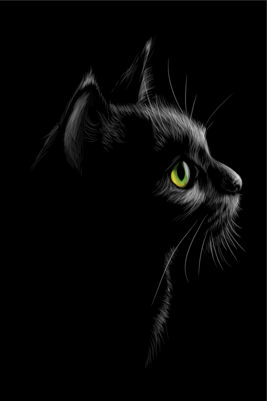 Plakat stue grønne katteøjne - TenStickers